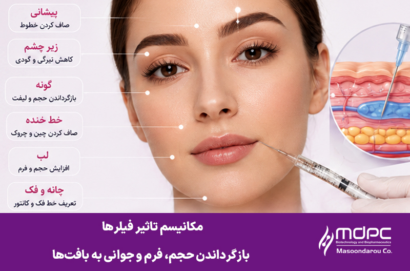 مکانیسم تاثیر فیلرها