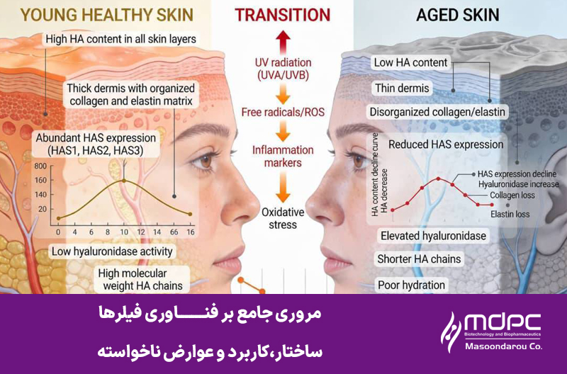 مروری جامع بر فناوری فیلرها، ساختار،کاربرد و عوارض ناخواسته