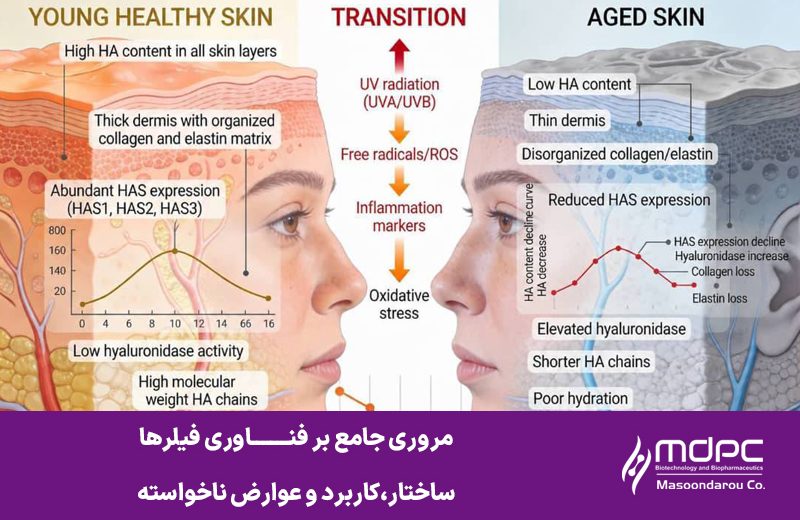 مروری جامع بر فناوری فیلرها، ساختار،کاربرد و عوارض ناخواسته